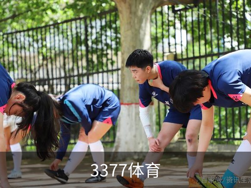 3377体育简介